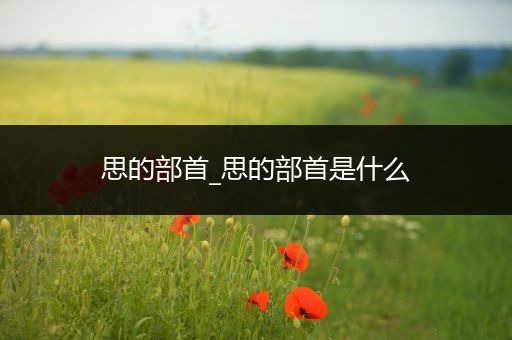 思的部首_思的部首是什么