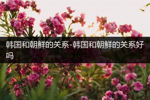 韩国和朝鲜的关系-韩国和朝鲜的关系好吗