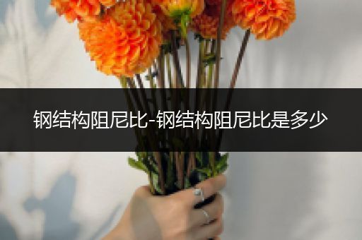钢结构阻尼比-钢结构阻尼比是多少
