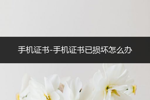 手机证书-手机证书已损坏怎么办