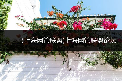 (上海网管联盟)上海网管联盟论坛