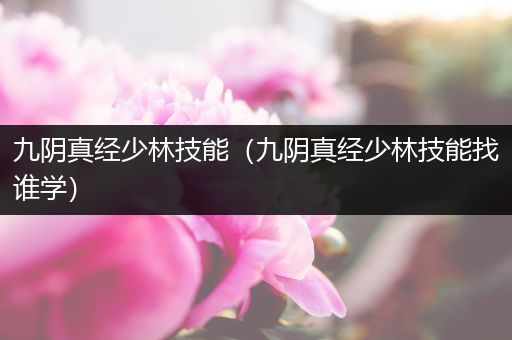 九阴真经少林技能(九阴真经少林技能找谁学)
