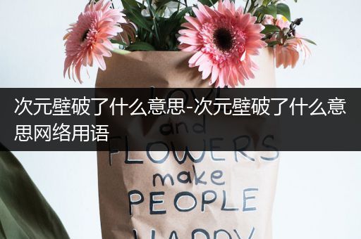 次元壁破了什么意思-次元壁破了什么意思网络用语