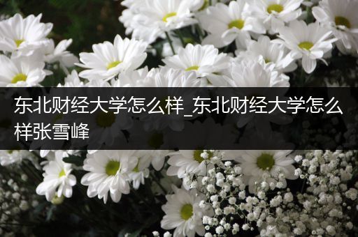 东北财经大学怎么样_东北财经大学怎么样张雪峰