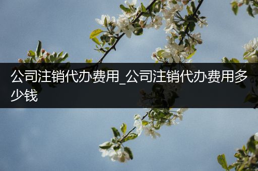 公司注销代办费用_公司注销代办费用多少钱