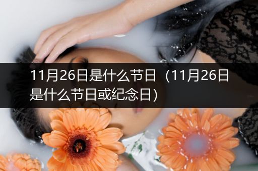 11月26日是什么节日(11月26日是什么节日或纪念日)