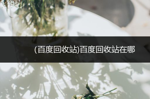 (百度回收站)百度回收站在哪