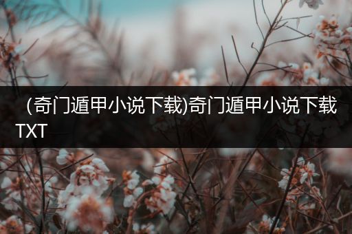 (奇门遁甲小说下载)奇门遁甲小说下载TXT