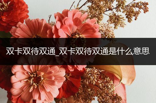 双卡双待双通_双卡双待双通是什么意思