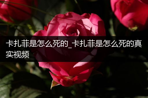 卡扎菲是怎么死的_卡扎菲是怎么死的真实视频