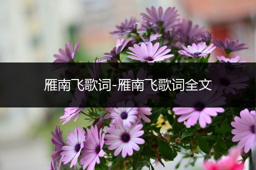 雁南飞歌词-雁南飞歌词全文