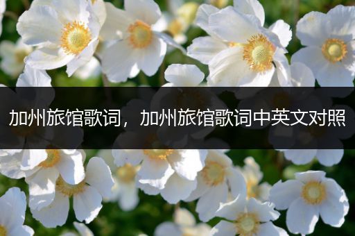 加州旅馆歌词,加州旅馆歌词中英文对照