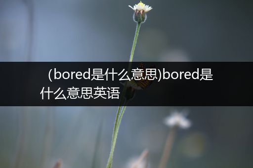 (bored是什么意思)bored是什么意思英语