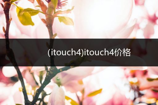 (itouch4)itouch4价格
