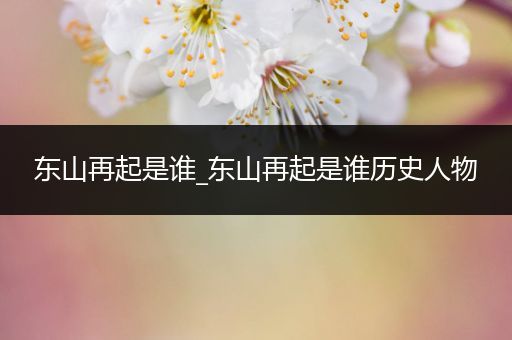 东山再起是谁_东山再起是谁历史人物