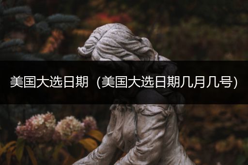 美国大选日期(美国大选日期几月几号)