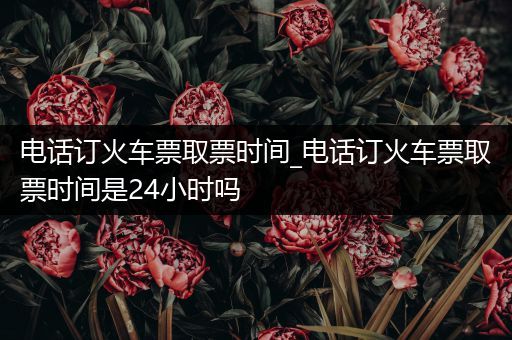 电话订火车票取票时间_电话订火车票取票时间是24小时吗