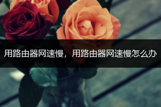 用路由器网速慢,用路由器网速慢怎么办