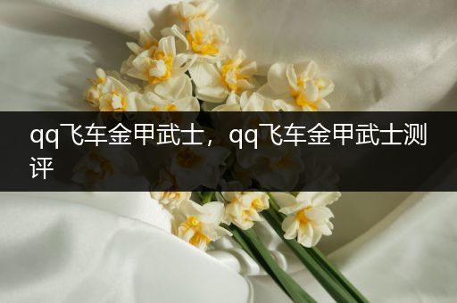 qq飞车金甲武士,qq飞车金甲武士测评