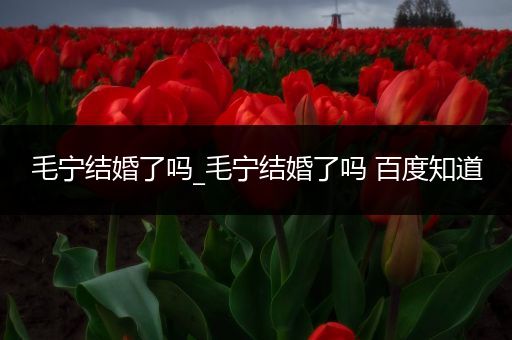 毛宁结婚了吗_毛宁结婚了吗 百度知道