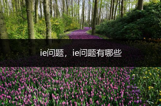 ie问题,ie问题有哪些