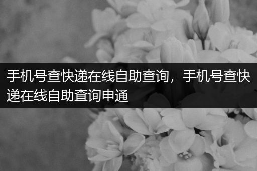 手机号查快递在线自助查询,手机号查快递在线自助查询申通