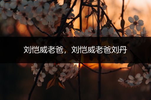 刘恺威老爸,刘恺威老爸刘丹