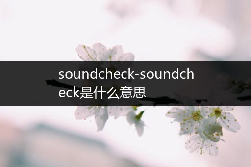 soundcheck-soundcheck是什么意思