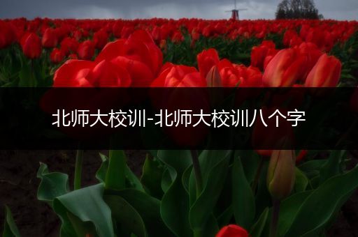 北师大校训-北师大校训八个字