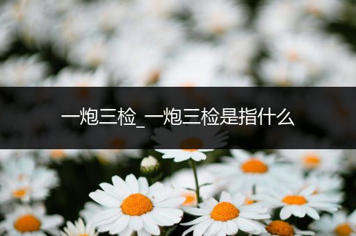 一炮三检_一炮三检是指什么