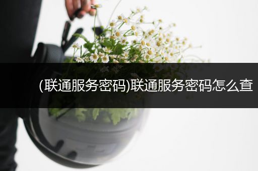 （联通服务密码)联通服务密码怎么查