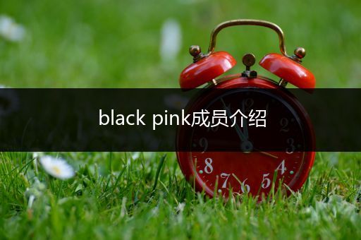 black pink成员介绍