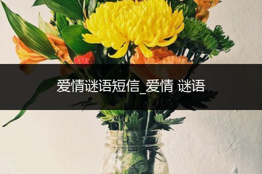 爱情谜语短信_爱情 谜语