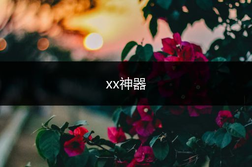 xx神器