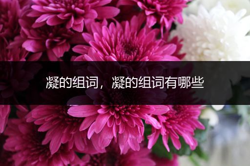 凝的组词,凝的组词有哪些