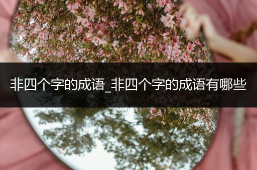 非四个字的成语_非四个字的成语有哪些