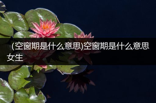 (空窗期是什么意思)空窗期是什么意思女生