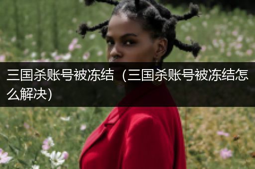 三国杀账号被冻结（三国杀账号被冻结怎么解决）