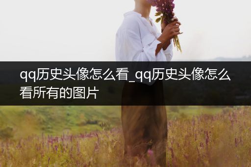 qq历史头像怎么看_qq历史头像怎么看所有的图片