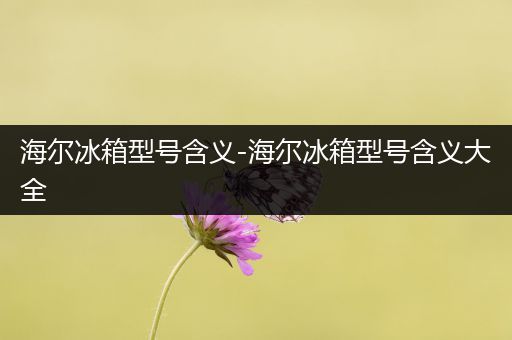 海尔冰箱型号含义-海尔冰箱型号含义大全