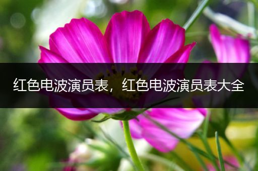 红色电波演员表，红色电波演员表大全