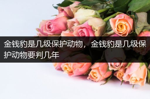 金钱豹是几级保护动物,金钱豹是几级保护动物要判几年