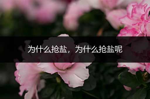 为什么抢盐,为什么抢盐呢