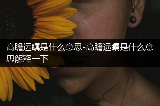 高瞻远瞩是什么意思-高瞻远瞩是什么意思解释一下