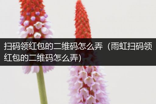 扫码领红包的二维码怎么弄（雨虹扫码领红包的二维码怎么弄）