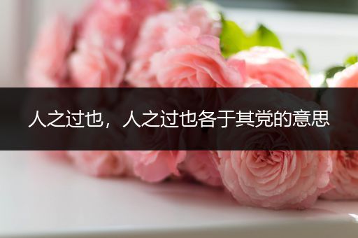 人之过也，人之过也各于其党的意思