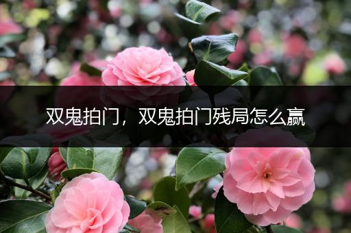 双鬼拍门,双鬼拍门残局怎么赢