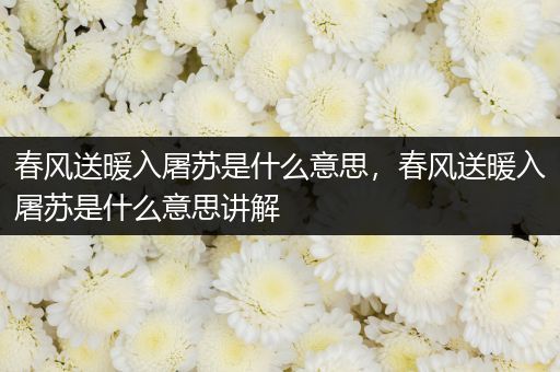 春风送暖入屠苏是什么意思，春风送暖入屠苏是什么意思讲解