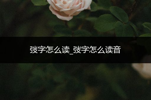 弢字怎么读_弢字怎么读音
