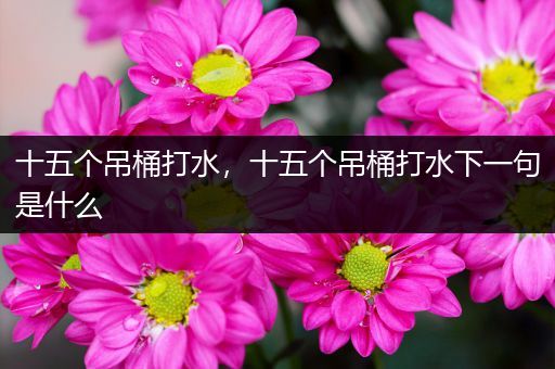 十五个吊桶打水,十五个吊桶打水下一句是什么